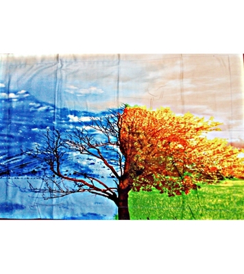 Picture of Home Tex Bedsheet & Pillow Cover OB-1446