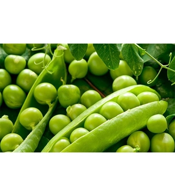 Buy Vegetable Peapod 1Kg (মটরশুটি) Online