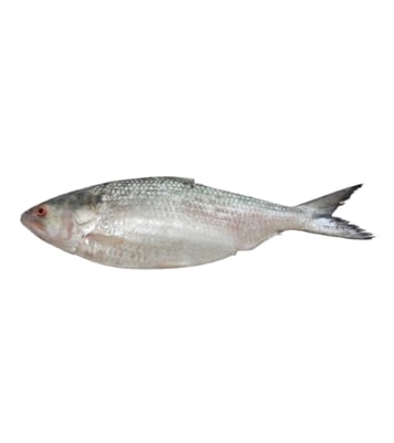 Picture of Hilsha Fish (ইলিশ) 600gm Plus