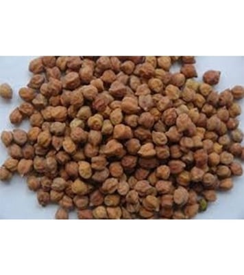 Buy Sola Boot 1 kg Online