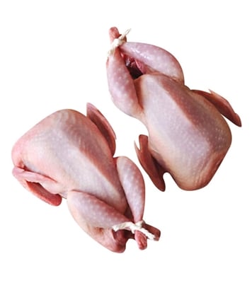 Buy koyel 40gm+ Per pcs Online