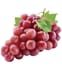 Grapes (Angur) Red
