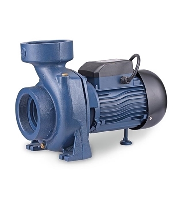Picture of RFL(Irr)2"X2"-2HP (RAHm-5AR) Irrigation Centrifugal Domestic Water Pump