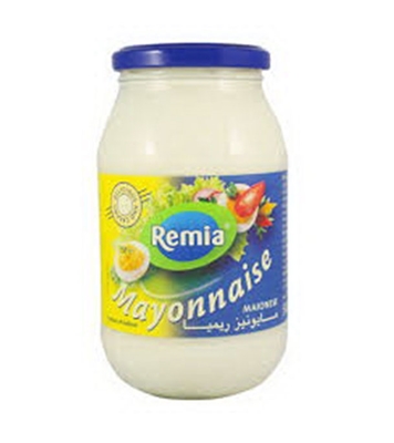 Buy Remia Mayonnaise 500gm Online at Best Price