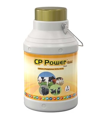Buy CP power gold 5 lit Online 