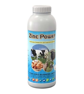 Buy Zinc power 1 lit Online