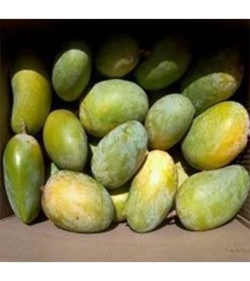 Buy Garden Fresh Amropali Mango 10 kg Online at Best Price