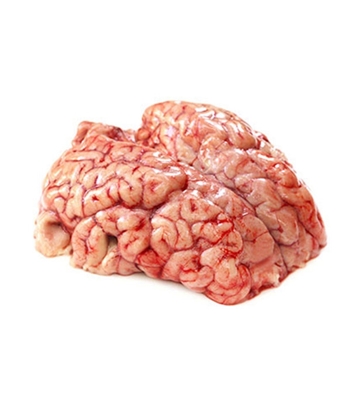 Buy Beef Brain Online 