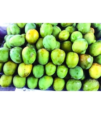 Buy Garden Fresh Himshagor Mango 15 kg Online at Best Price