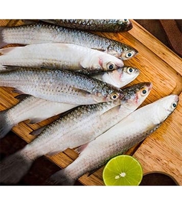 Buy Faisha Fish 8-15pcs/kg Online
