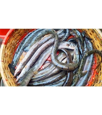 Buy Baaim Fish Kg Online