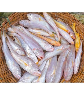 Buy Poa Fish 3-7pcs/kg (River) Online