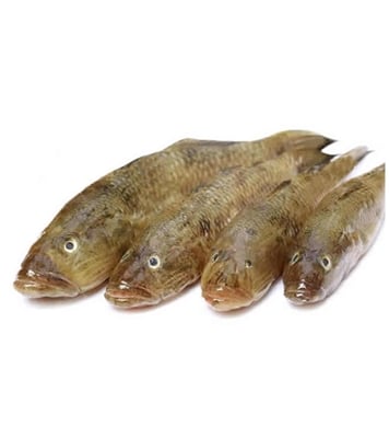 Buy Bailla Fish 7-15 pcs/kg Online