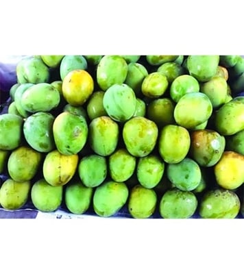 Buy Garden Fresh Himshagor Mango 20 kg Online