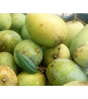 Buy Garden Fresh Harivanga 5 kg Online