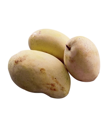 Buy DS Garden Packet Fazle Export Quality 1kg Online