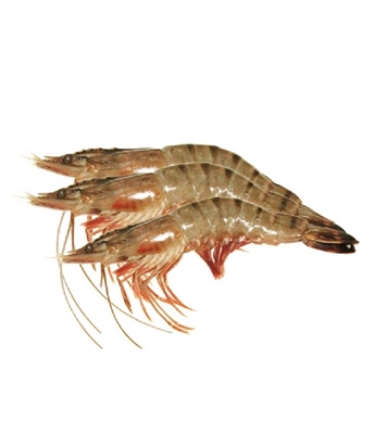 Buy Horina Prawn 1kg Online