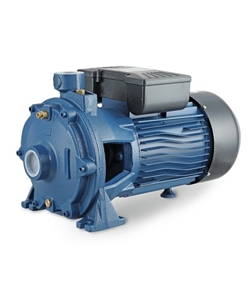 Buy RFL Water Pump Multistage Centrifugal 1(1/2)"X1.25"-2HP-1~ (2XCm25/160B) Online at Best Price