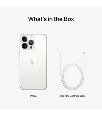 Buy Apple iPhone 13 Pro 256GB  Silver online at Best Price
