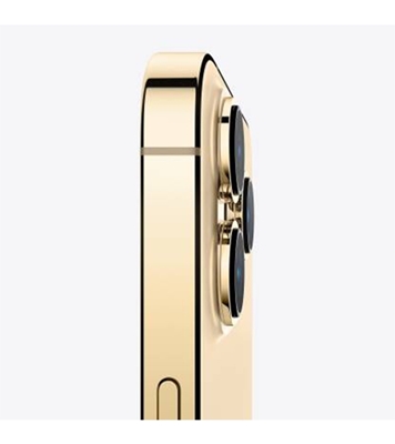 Buy Apple iPhone 13 Pro Max 128GB Gold online at Best Price