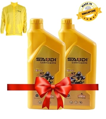 Buy Saudi 4T SAE 10W30 API SN/ JAS 1L Combo Online