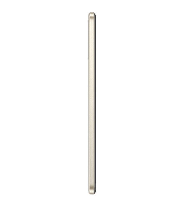 vivo Y33s 8GB 128GB Starry Gold at Best Price in Bangladesh