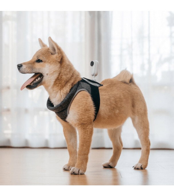 Buy Insta360 Pet Strap Mount for GO 2 Camera Online at Best Price
