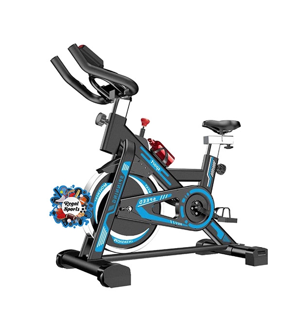 magnetic spinning bike