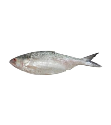Picture of Hilsha Fish (ইলিশ) 500gm Plus Pair