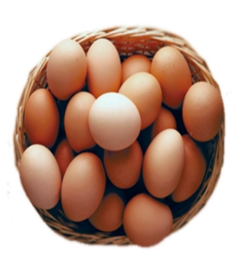 Buy Farm Egg 30pcs Combo Online