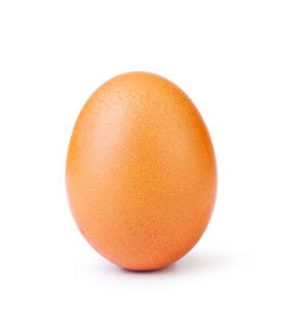 Buy Farm Egg Loose Online