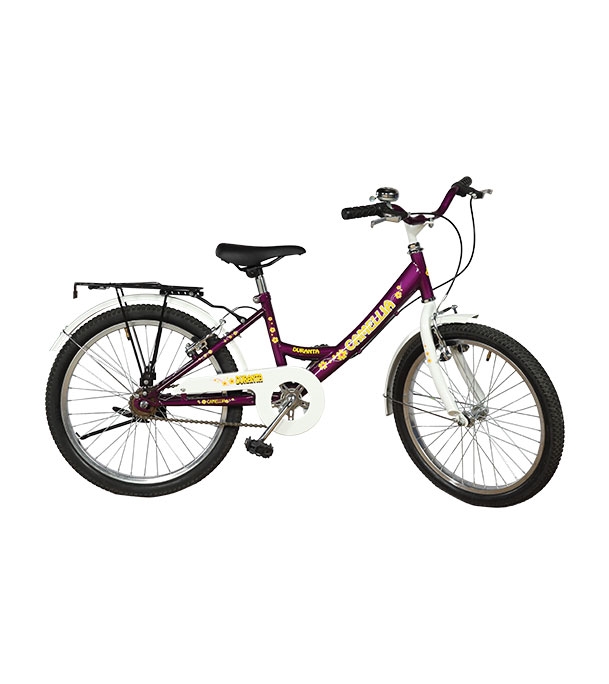 Buy Duranta Camellia Girls Bicycle 20" Steel Mudguard at Best Price In