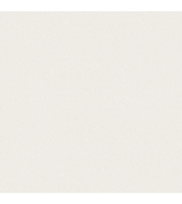 Buy Crystal Ash (24X24) at Best Price in Bangladesh