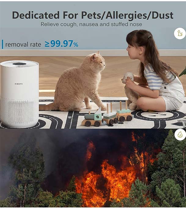 Buy Xiaomi Smart Air Purifier 4 Compact at Best Price In Bangladesh