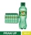 PRAN UP 250ml