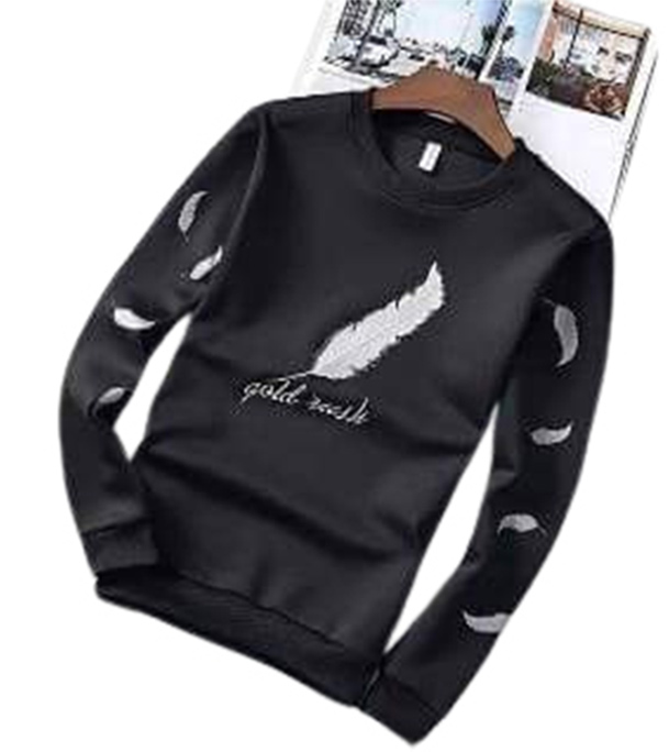 Picture of Exclusive Winter Sweat Shirt For Men