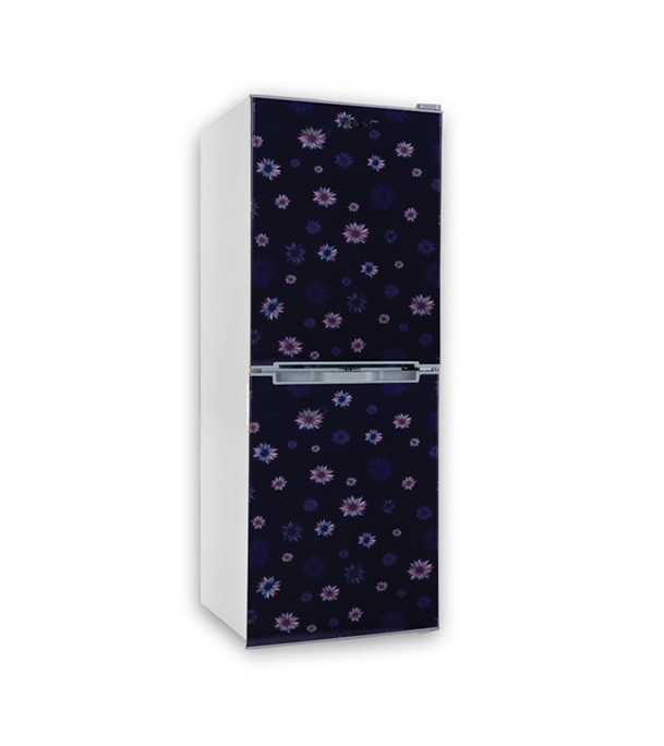 ViGO Refrigerator RE-160 L Blue Star Flower BM  Buy ViGO Refrigerator RE-160 L Blue Star Flower BM Online