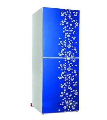 VISION Refrigerator RE-238 Litre Blue Flower-Bottom Mount Buy VISION Refrigerator RE-238 Litre Blue Flower-Bottom Moun Online