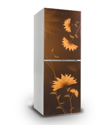 Picture of VISION Refrigerator RE 262 L Lotus Flower Brown Top Mount Picture of VISION Refrigerator RE 262 L Lotus Flower Brown Top Mount