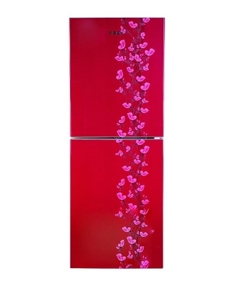 Picture of VISION Refrigerator RE-262 L Red lily Flower TM