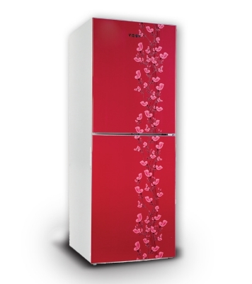 Picture of VISION Refrigerator RE-222 L Red lily Flower TM