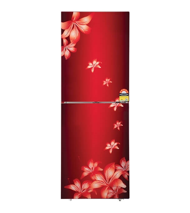 Picture of ViGO GD Refrigerator RE-222L Lily FL Maroon FL TM