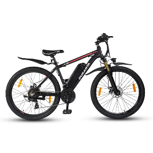 Duranta E-Rider-101 Electric Cycle 