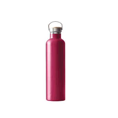 Buy Thermo Travel Flask-Radiant 600 ML Assorted at Best price in Bangladesh