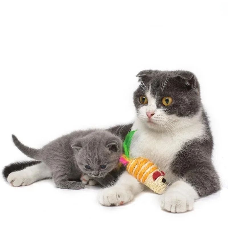 Picture of 1pcs Pet Cat Toys False Mouse Mini Funny Playing Toys for Cats with Colorful Feather Sisal Mini Mouse