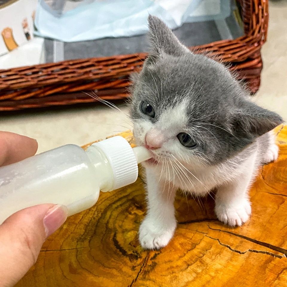 Picture of Pet Feeding Bottle 60ml Pet Silicone Feeding Bottle for Cats and Dogs Small Pacifier Pet Food Supplies