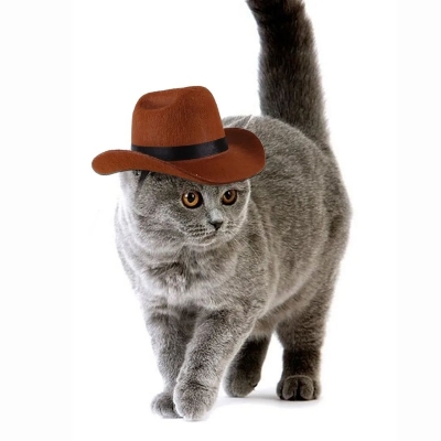 Picture of Cowboy Hat Cat Outdoor Hats Adjustable Cap