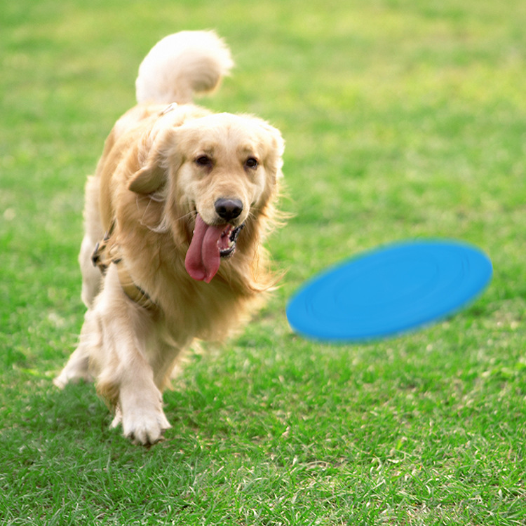 Picture of Pet Training Toy Interactive Dog Chew Toys Resistance Bite Soft Rubber Toys Pet Flying Discs Dog