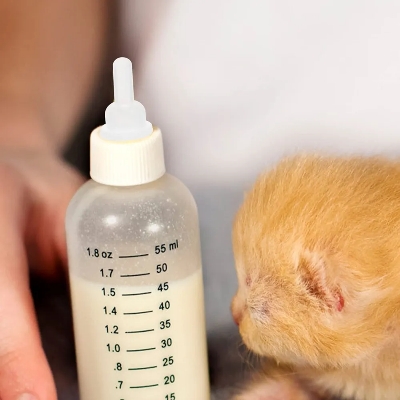 Picture of Pet Nurser Nipples Silicone Replacement Pacifiers Pet Food Bottles Pacifiers Kitten Pacifier for Kitten Suckling Pet Feeding Tool Accessory for Pet Supplies