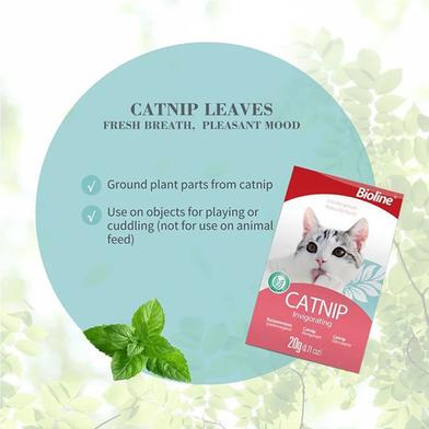 Picture of Bioline Catnip Leaves 20g